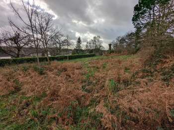 Vente de terrain