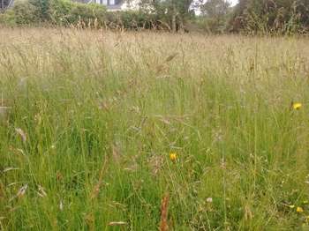 Vente Terrain 410 m&sup2;Plouzané