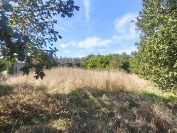 Vente Terrain 757 m&sup2;Plozévet