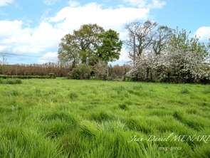 Vente Terrain 599 m&sup2;Pluduno