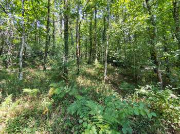Vente Terrain 2260 m&sup2;Pluherlin