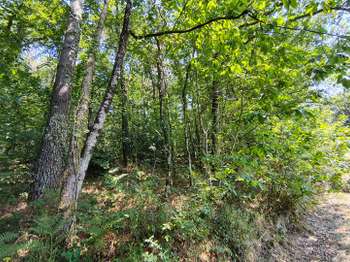 Vente de terrain