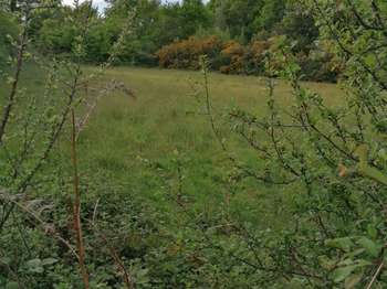 Vente Terrain 703 m&sup2;Pluméliau