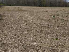 Vente Terrain 25200 m&sup2;Plumieux