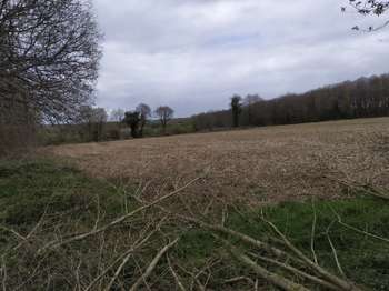 Vente de terrain