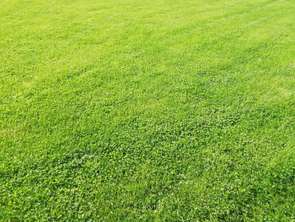 Vente Terrain 433 m&sup2;Plurien