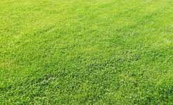 Photo Vente de terrain Plurien