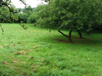 Vente Terrain 469 m&sup2;Plurien