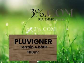 Vente de terrain Pluvigner 56