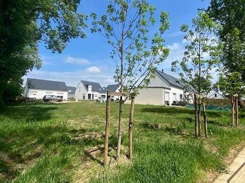 Vente de terrain Pluvigner 56