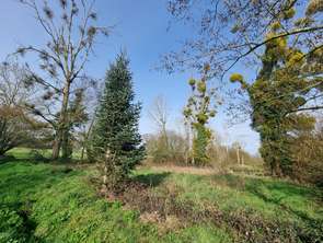 Vente Terrain 2750 m&sup2;Poilley