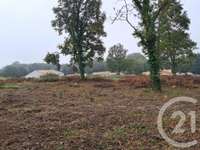 Vente de terrain