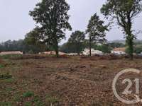 Vente de terrain