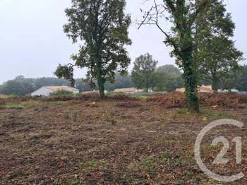Vente de terrain