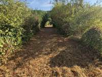 Vente de terrain