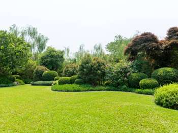 Vente Terrain 740 m&sup2;Pont-l'Abbé