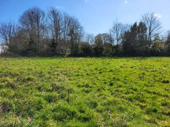 Vente Terrain 370 m&sup2;Pont-l'Abbé