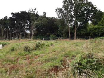 Vente Terrain 476 m&sup2;Pont-l'Abbé