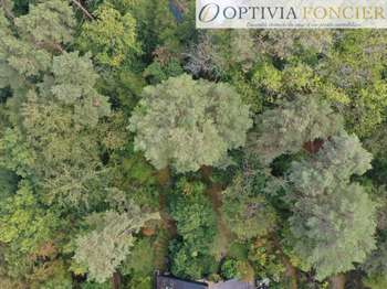 Vente de terrain Vente de terrain