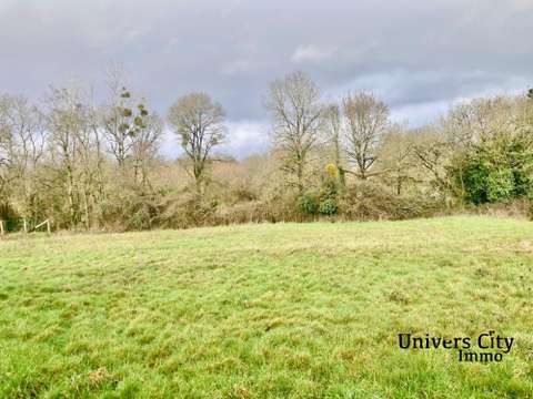 Vente de terrain Pont-Saint-Martin 44