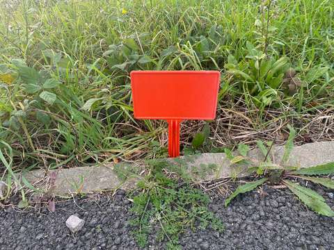 Vente de terrain Pont-Saint-Martin 44