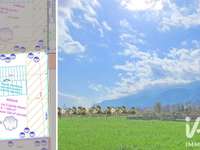 Vente de terrain