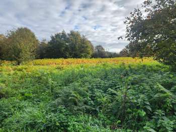 Vente Terrain 1366 m&sup2;Pontchâteau