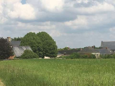 Vente de terrain Pontigné 49