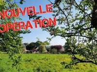 Vente de terrain