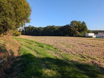 Vente de terrain