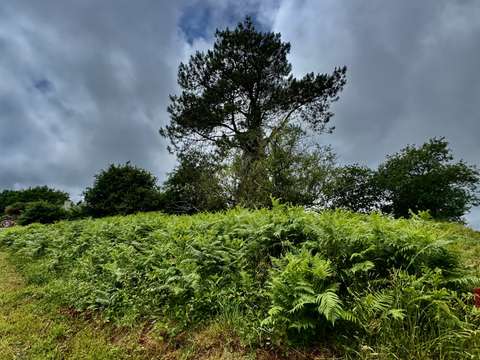 Vente de terrain Pontivy 56