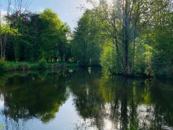 Vente Terrain 7531 m&sup2;Pontvallain