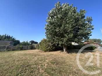 Vente de terrain