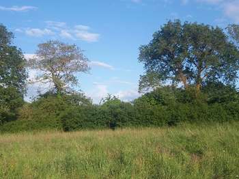 Vente Terrain 488 m&sup2;Pornichet Ermur-Les Forges
