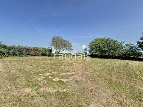 Vente de terrain