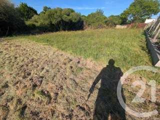 Vente de terrain