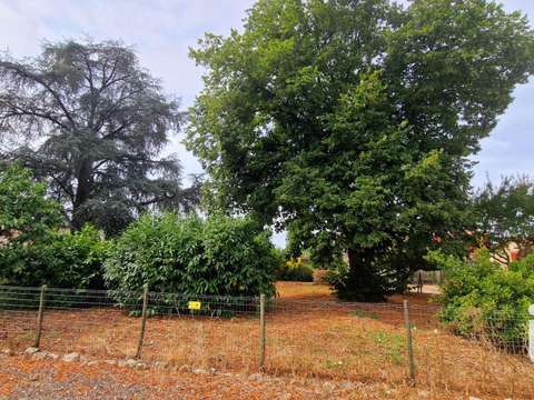 Vente de terrain
