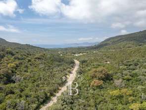 Vente Terrain 2092 m&sup2;Porto-Vecchio