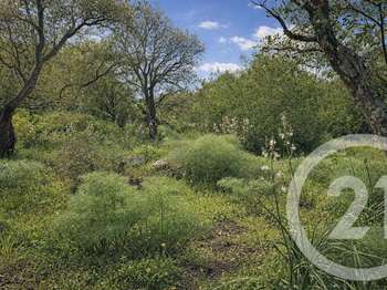 Vente Terrain 2000 m&sup2;Porto-Vecchio