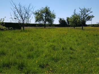 Vente de terrain Potigny 14