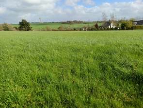 Vente Terrain 521 m&sup2;Pouillé-les-Côteaux