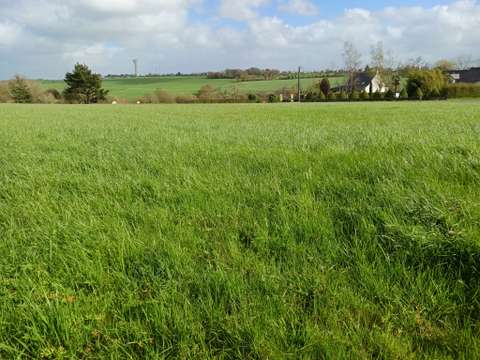 Vente de terrain Pouillé-les-Côteaux 44