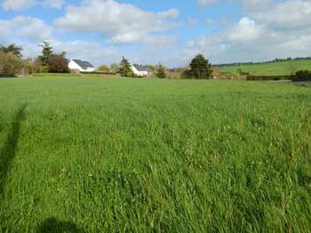 Vente de terrain