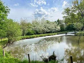 Vente Terrain 3735 m&sup2;Pouzauges