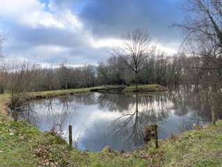 Vente de terrain 1 pièce