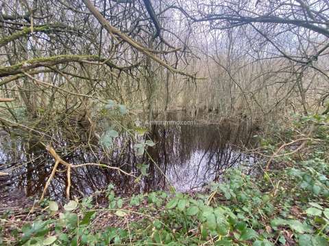 Vente de terrain