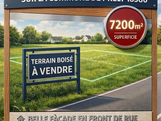 Vente de terrain