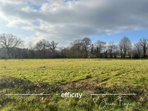 Vente Terrain 11000 m&sup2;Princé