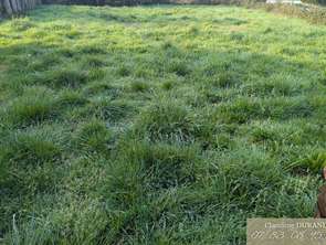 Vente Terrain 997 m&sup2;Prinquiau