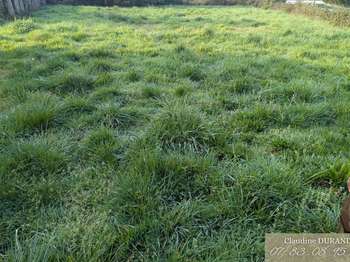 Vente de terrain Prinquiau 44